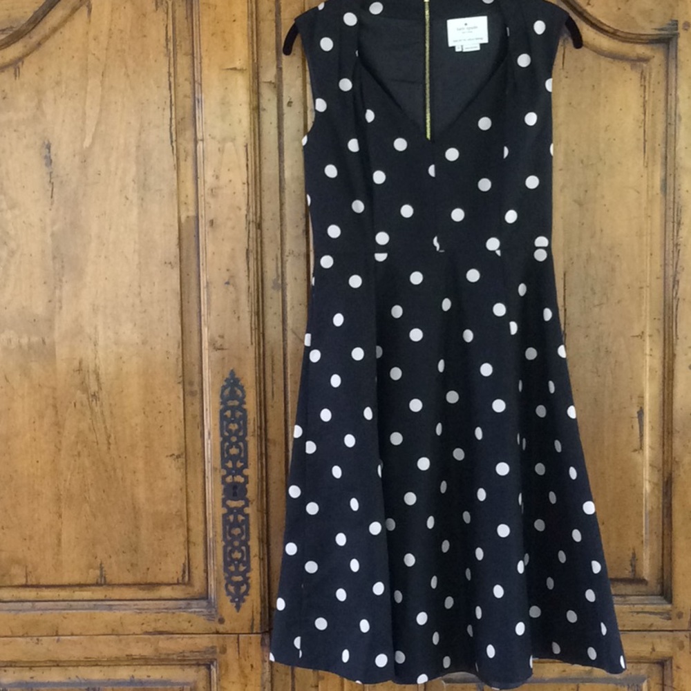 Fun, vintage-like kate spade dress!